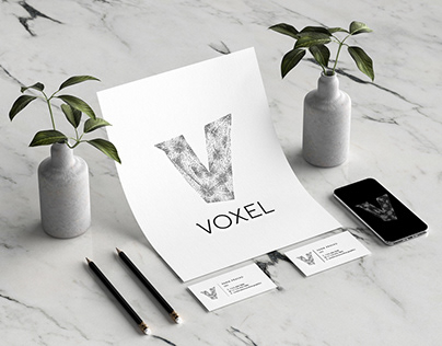 Voxel Logo Design