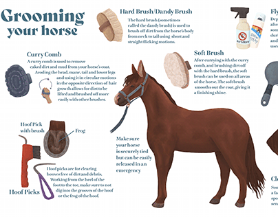 Grooming Your Horse (spread)