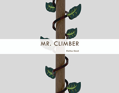 MR. CLIMBER