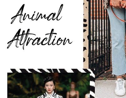 Animal Attraction Surface Pattern Design