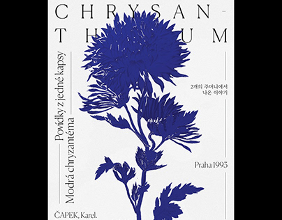 Blue Chrysan themum