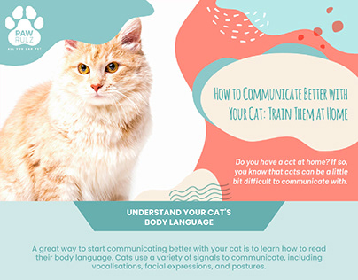 How to Communicate Better with Your Cat