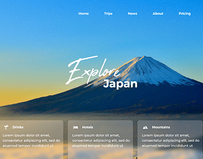 Japan Travel Website Homepage