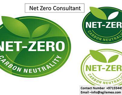Net Zero Consultant