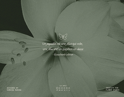 Solle Fiori / Brand identity for floral studio