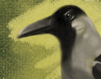 Bird Illustration Project - Crow/Corvus splendens