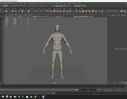 CHARACTER RIGGING AND SKINNING