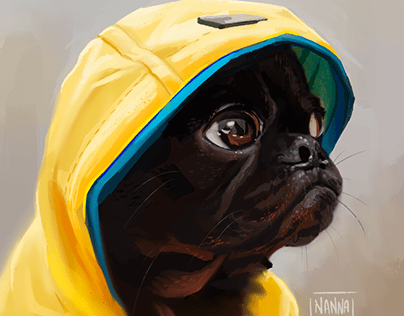 Dog in yellow