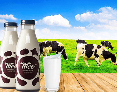 Logo design for milk farm "MOO"