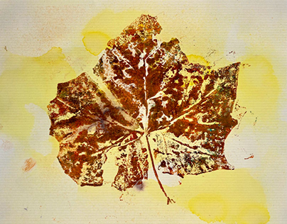 Maple Leaf Series