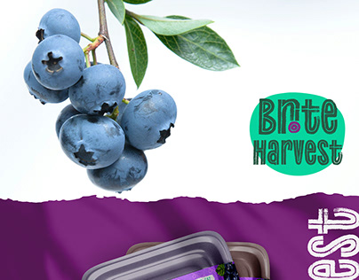 Brite Harvest- Logo & Packaging Design