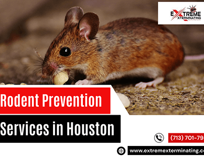 Effective Rodent Prevention Services in Houston, TX
