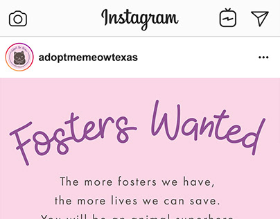 Adopt Me Meow Instagram Assets
