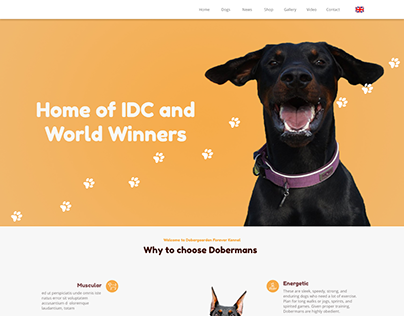 Doberman Website Design