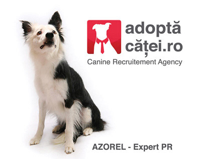 Adoption campaign for stray dogs. AdoptDogs.ro