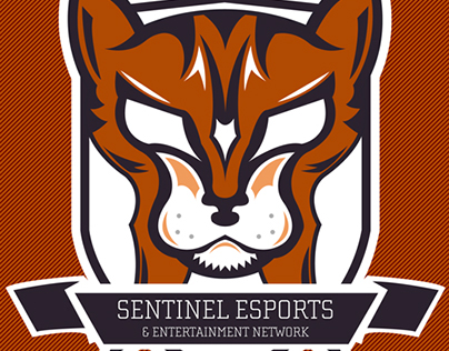 Sentinel eSports: Social Media Branding 2017