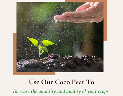 Increase The Quantity And Quality Of Your Crops