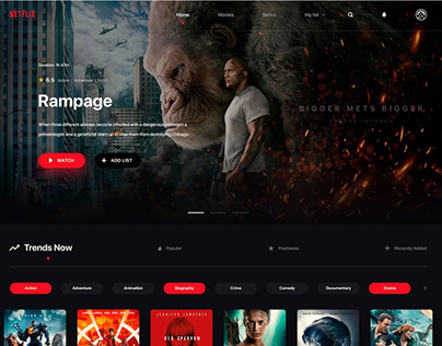 Redesign Concept Video Website Netflix