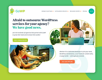 Website projects for the WordPress outsourcing company