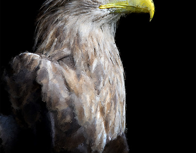 Oil Painting Eagle