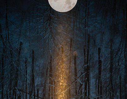 moonlight pillar