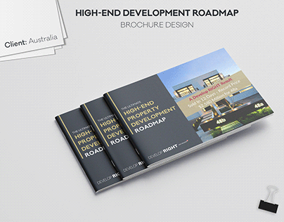 High-End Development Roadmap Brochure Design