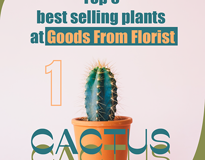 Best selling plants