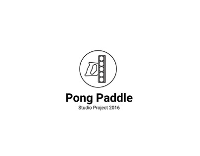 Pong Paddle Project