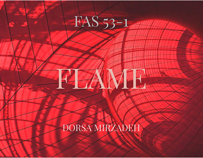 FAS 53.1