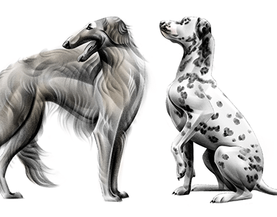 Illustrations dogs | Procreate