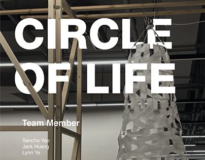 Circle of Life - Installation Project