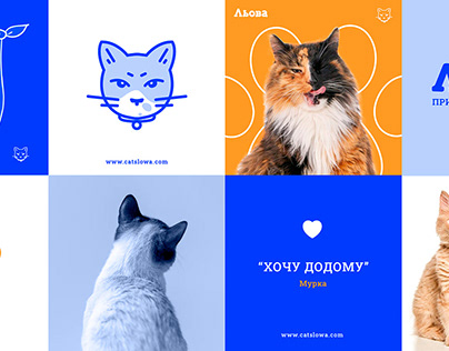 Shelter for Cats Льова (Cat House Branding)