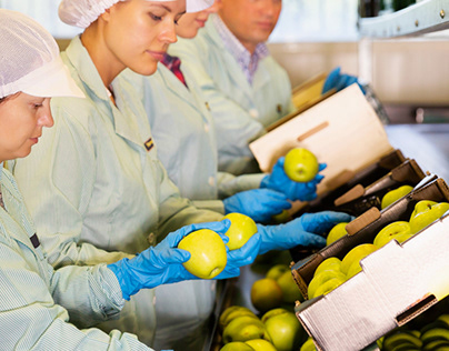 Produce Testing | Quality Control for Produce Industry