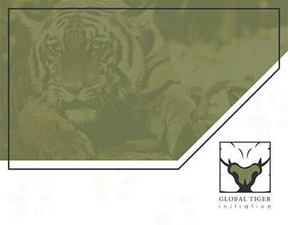 Global Tiger Intiative