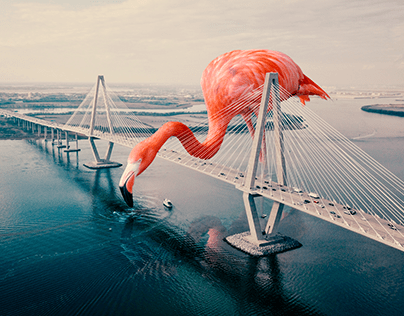 Montaje Flamingo