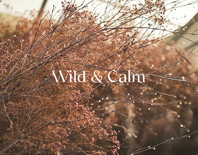 Wild&Calm | brand identity