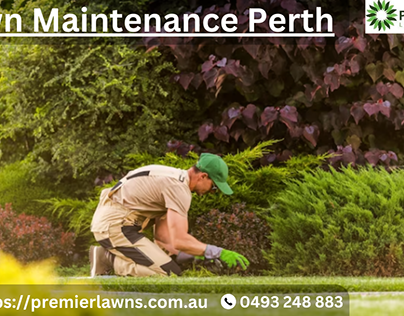 Lawn Maintenance Perth | Premier Lawns