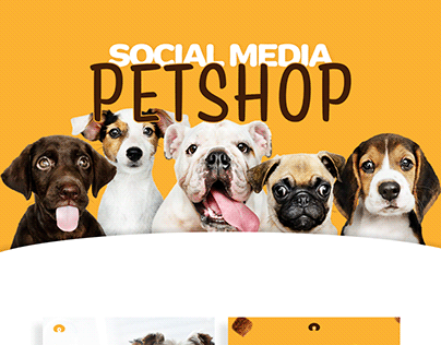 Social Media | PetShop