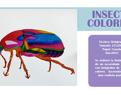 Insecto colorido