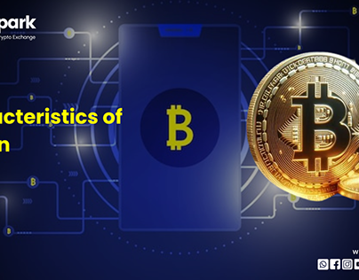 Characteristics of Bitcoin