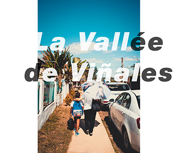 La Vallée de Viñales, Cuba '18