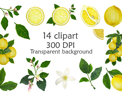 Watercolor Lemons clipart