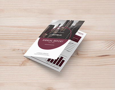 Bi-Fold Corporate Brochure Annual Report