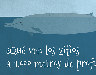 What beaked whales see at 1,000 meters deep?