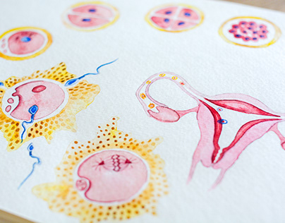 Illustrationen für das Buch "Richtig schwanger"
