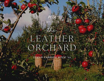 Project thumbnail - The Leather Orchard (Young Ones Shortlist)