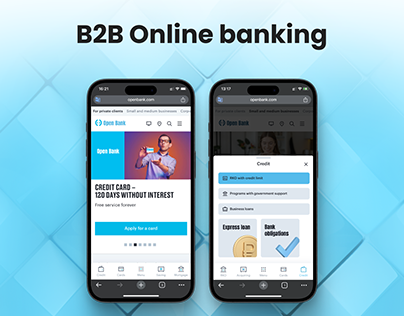 B2B online bank design case study. 3.7m. users.