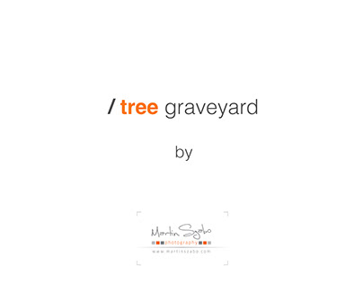 Stave Lake - Tree Graveyard
