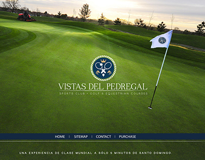 Vistas del Pedregal logo and landing page