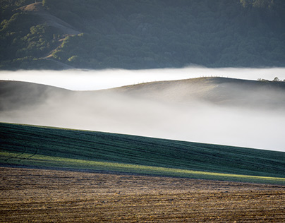 Chasing the Fog in Sonoma County California